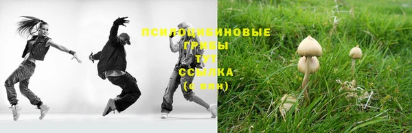 соль ск Алзамай