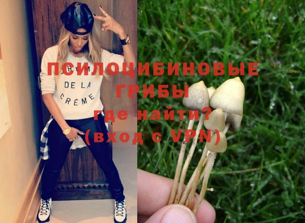 гидропоника Кодинск